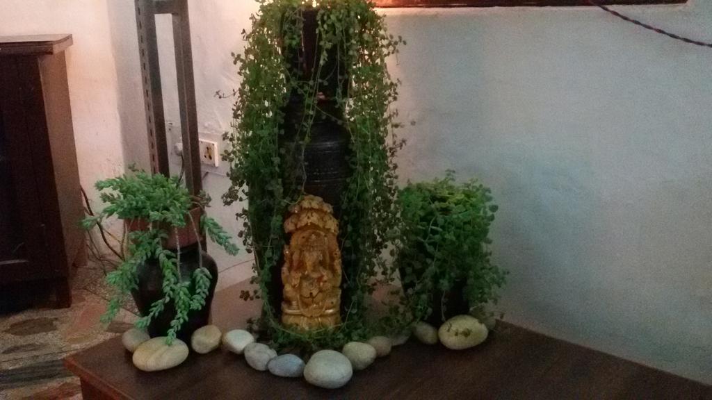 دهرادون Hotel Sukhsadan المظهر الخارجي الصورة